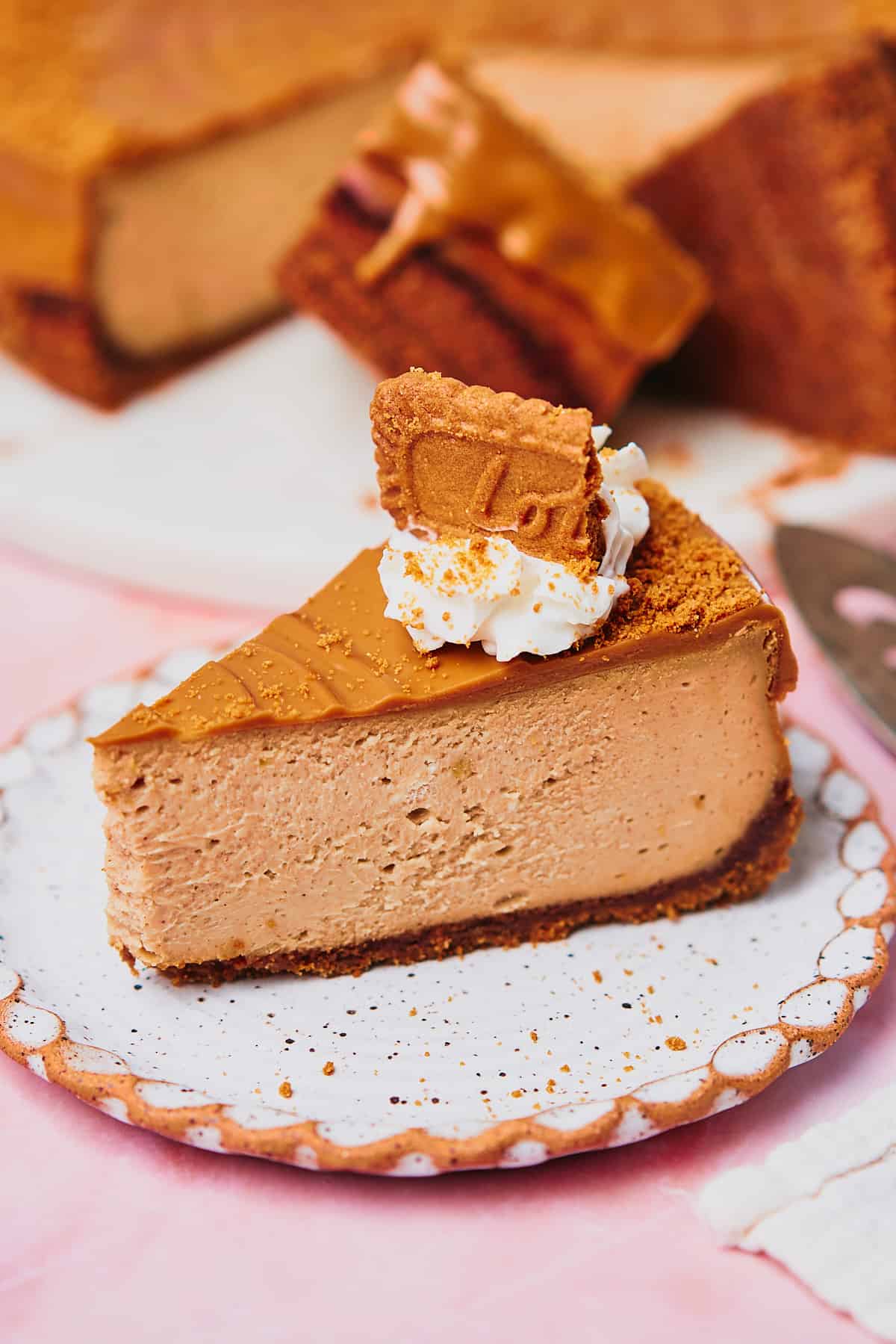 slice of Biscoff cheesecake topped with whipped cream and a Biscoff cookie with a whole cheesecake behind it. 