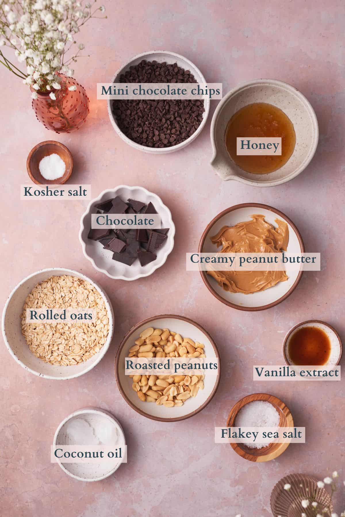ingredients to make bliss balls with text overlaying to denote each ingredient.