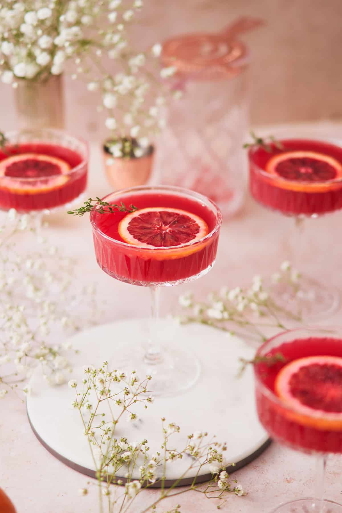 4 blood orange gin cocktails in coupe glasses, surrounded by white baby's breath flowers, and blood oranges. 