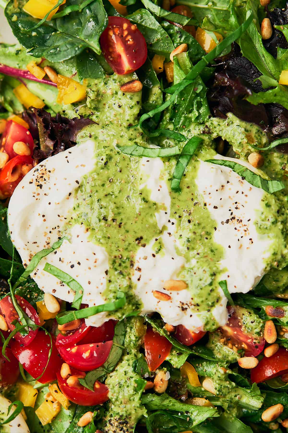 very close up shot of a burrata salad topped with pesto vinaigrette and black pepper, on a bed of cherry tomatoes, spring mix, and toasted pine nuts. 