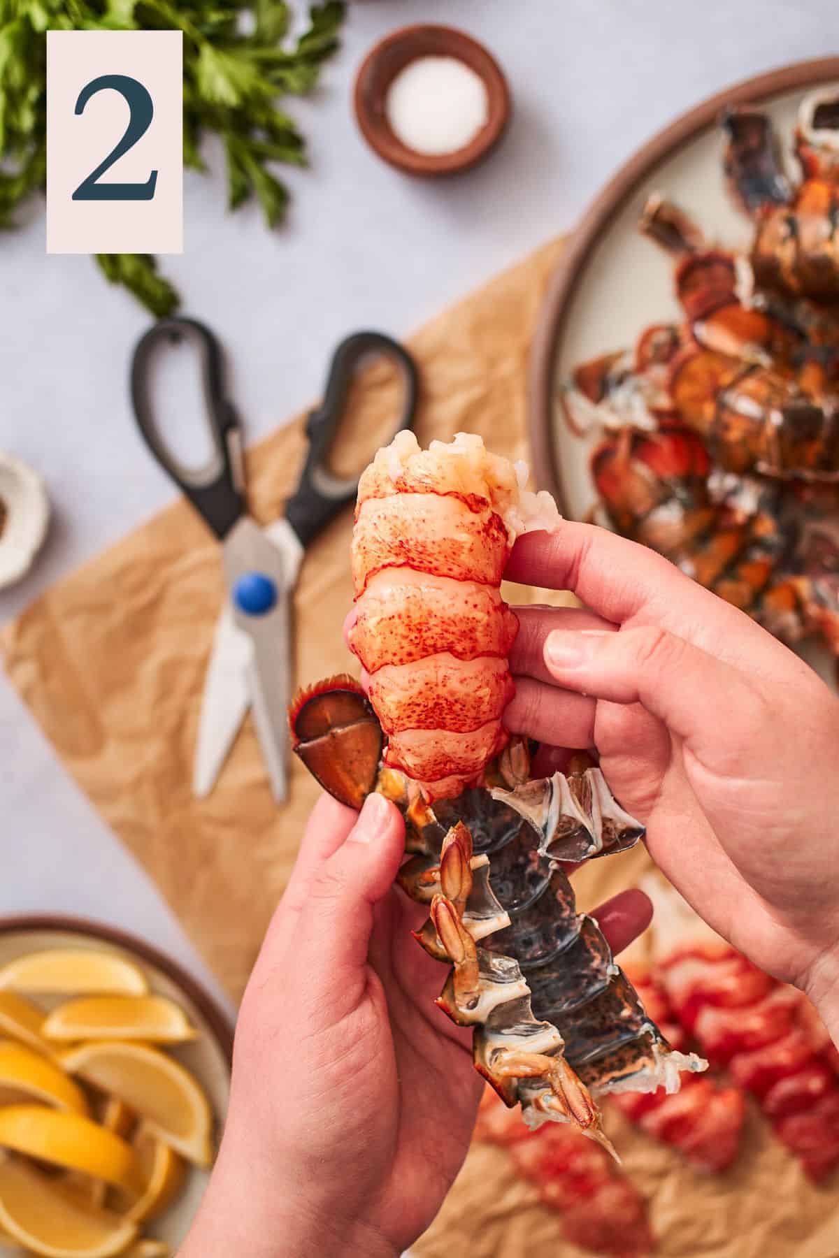 hand pulling lobster meat gently from the shell, with kitchen shears underneath. 