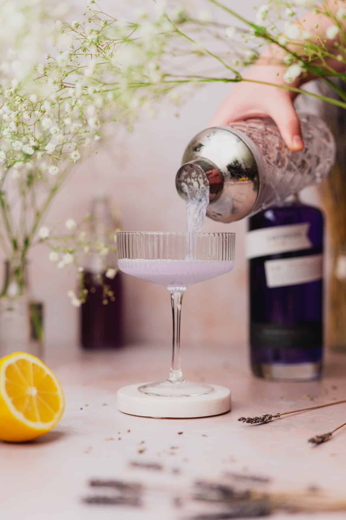 straining lavender gin cocktail from shaker into a coupe glass 