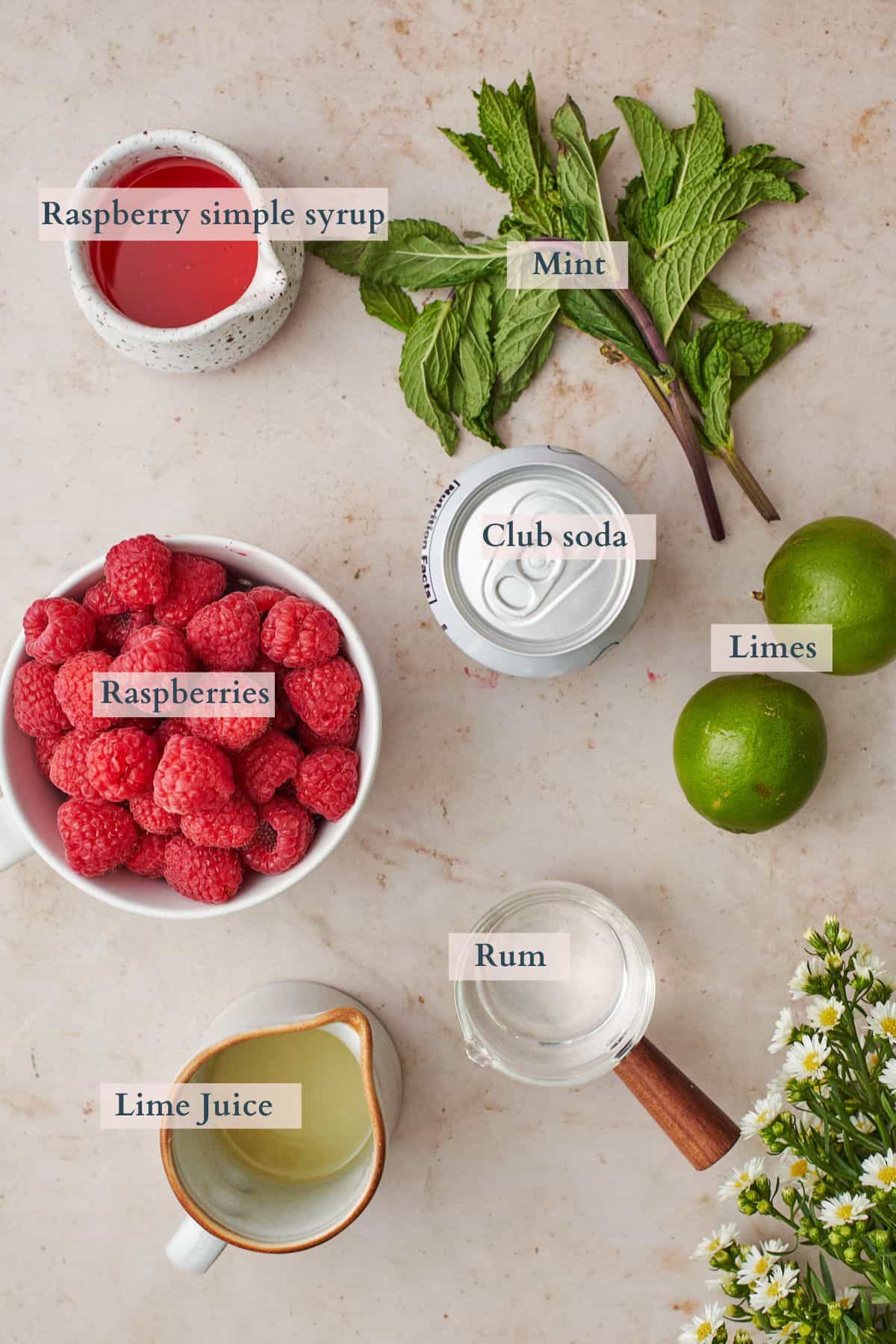 raspberry mojito ingredients laid out on a warm background in various containers.